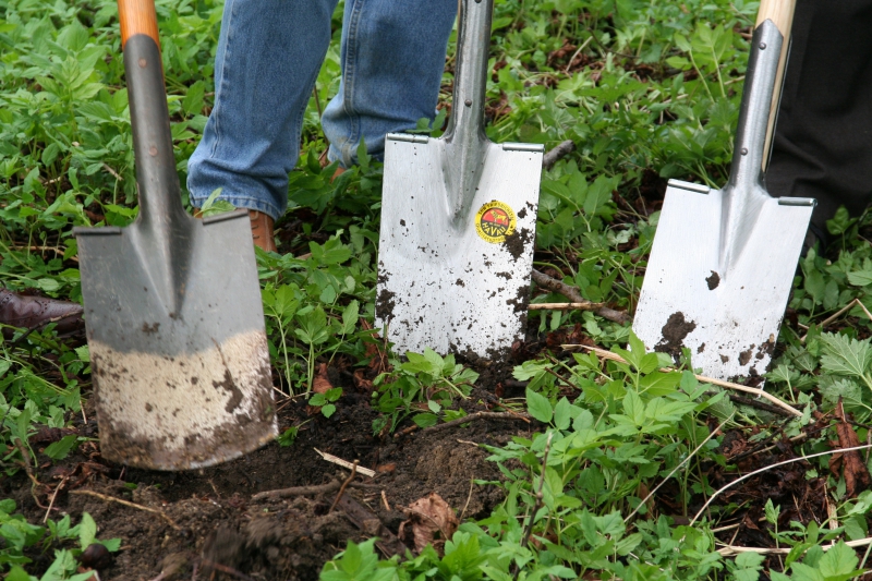 pepiniere-CHATEAUNEUF GRASSE-min_work-lawn-flower-tool-green-backyard-1103633-pxhere.com